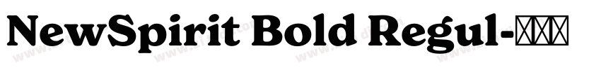 NewSpirit Bold Regul字体转换